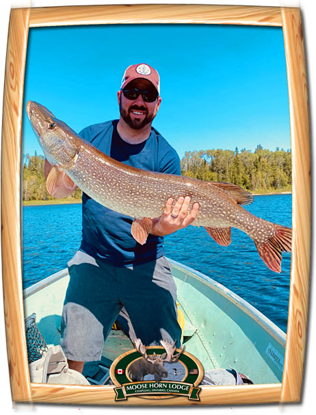 Ontario Northern Pike Fishing on Chapleau Lakes